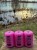 IMG_2629.jpeg